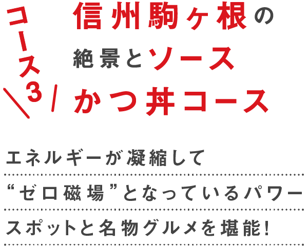 コース4 信州駒ヶ根の絶景とソースかつ丼コース　エネルギーが凝縮して”ゼロ磁場”となっているパワースポットと名物グルメを堪能！